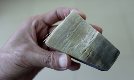 A man shows off a piece of rhino horn in Hanoi on April 24, 2012 . From terminal cancer to strokes, rhino horn is seen as a miracle cure-all in Vietnam -- an expensive, medically unproven and illegal obsession that experts say is devastating global pachyderm populations.