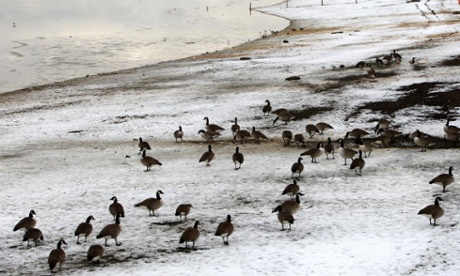 The reservoir shore at Pitsford Water.