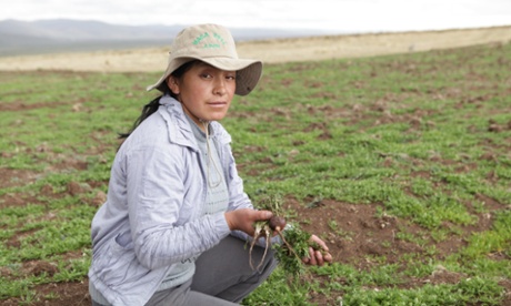 Maca farmer Pilar Condor has experienced a huge rise in her income from the increased demand for the root.