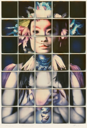 Polaroid Composite – India Portrayed.