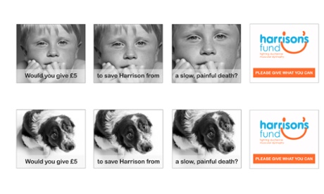 boy and dog asking for 5 pounds