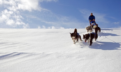 Dog-sledding in Norway.