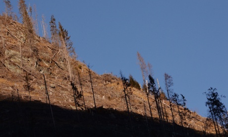 Ilegally deforested mountains in Pojarna Valley, in the heart of the Romanian Carpathians in Fagaras are pictured on January 16, 2014. According to official figures, illegal logging screened doubled since 2007, rising to 331,497 cubic meters in 2012 from a total volume of wood harvested of 19 million m3. The new forests code, which must still be passed by the House of Deputies provides stricter controls , heavy fines for illegal logging and the requirement for small landowners to keep their forests.