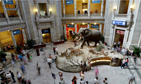 The rotunda of the National Museum of Natural History of the Smithsonian Institution