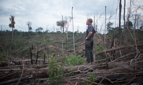 Brad Sanders, a forest manager working for the RSPB in Sumatra, Indonesia, surveyed an area of cleared forest within Harapan Rainforest. Harapan is a joint venture between the RSPB, Birdlife International and Burung Indonesia, a local bird conservation group. The project aims to restore an area of degraded forest close to the size of London