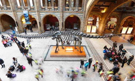 Visitors looking at Dippy the Diplodocus at the Natural History Museum