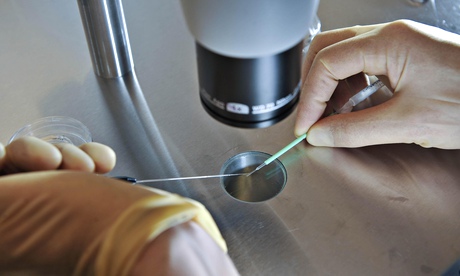 A scientist works on an IVF procedure