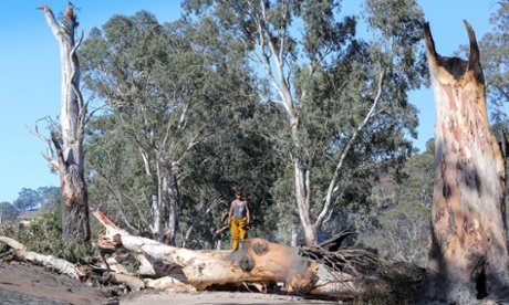 Farmer Sam Randell checks bush fire damage to his property in Gumeracha, Adelaide Hills, Australia, 04 January 2015.