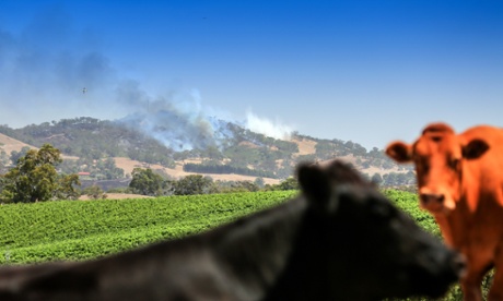 Fire damage to property surrounding the Adelaide Hills district of Cudlee Creek.