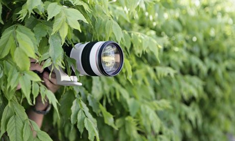 A photographer with a long-lens camera takes pictures while hidden in a bush