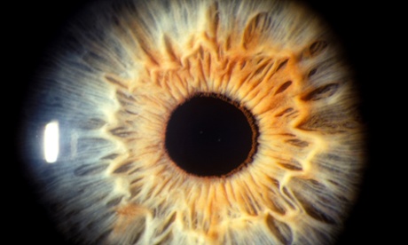Eye iris pupil close up.