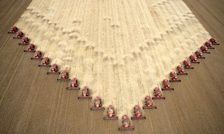 To match Analysis BRAZIL-AGRICULTURE/