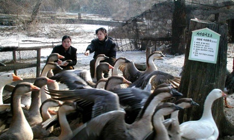 central zoo north korea