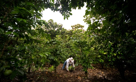 Planting tress offsetting