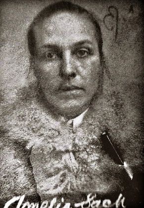 Harriet Evans story, Amelia Sach