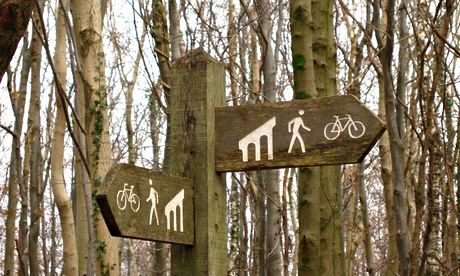 Wooded areas close to conurbations provide space for running, cycling, climbing and dog walking. 