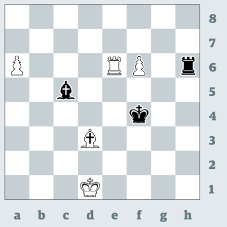 Chess 3372