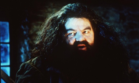 Would you be brave enough to take part on one of Hagrid’s lessons in the Forbidden Forest?