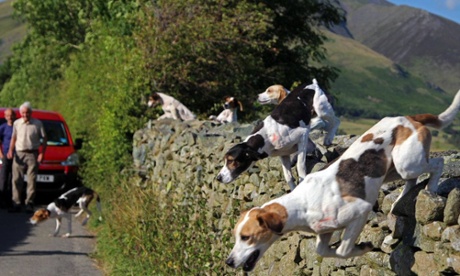 Hounds trailing in Grasmere