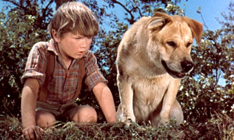 Kevin Corcoran with dog