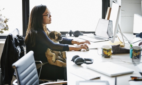 A woman sits at her work desk with a dog on her lap