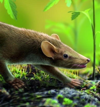 Spinolestes in the Cretaceous-period Las Hoyas wetland.