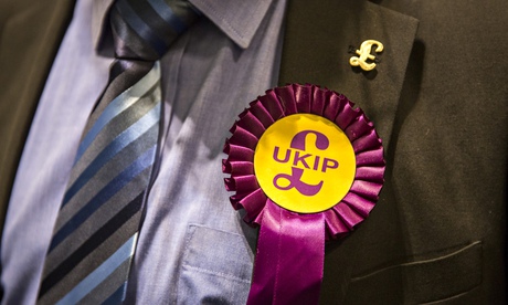 A Ukip member wearing a party rosette