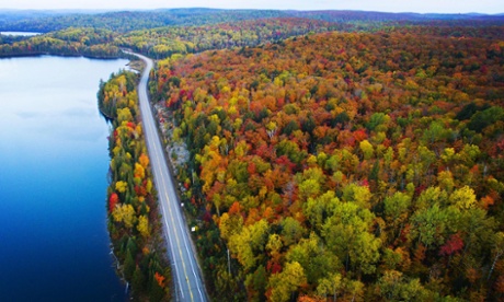 It's autumn! Fall colors are cascading across forests and backyards throughout the US and Canada, where this photo was taken near Highway 60 in Ontario.