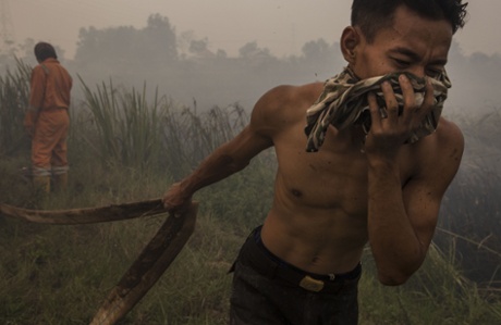 A firefighter holds a water pipe as they extinguish a fire on burned peatland and fields in Palembang, South Sumatra, Indonesia. The air pollution or haze has been an annual problem for the past 18 years in Indonesia. It's caused by the illegal burning of forest and peat fires on the islands of Sumatra and Borneo to clear new land for the production of pulp, paper and palm oil. Singapore and Malaysia have offered to help the Indonesian government to fight against the fires, as infants and their mothers are evacuated to escape the record pollution levels. 