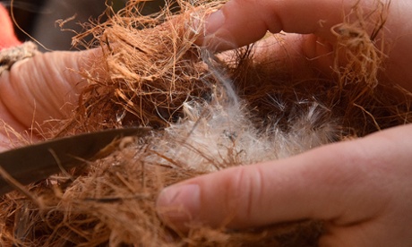 Jamie Newell making fire