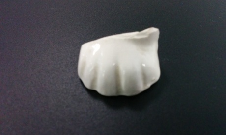 Potcat's severed paw