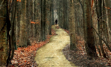 ‘To walk is by a thought to go / To move in spirit to and fro’: a walk through woods.