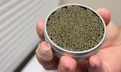 Paddlefish caviar