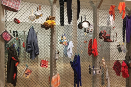 Margaret Harrison Common Reflections