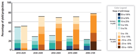Summary of projected changes in crop yields, due to climate change over the 21st century.