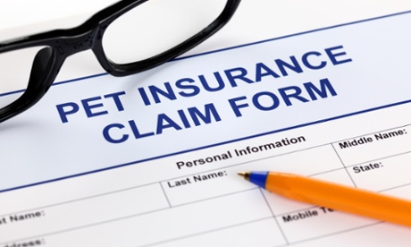 Pet insurance claim form