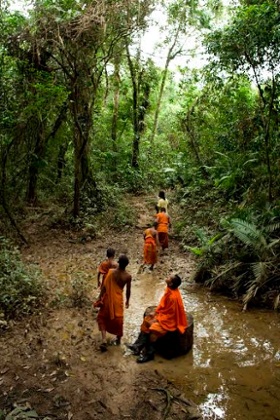 Cambodian monks looking for tress to bless