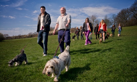 dog walkers in park