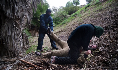 Actors from McKamey Manor force Beth Hipple to do sit-ups while they take her hostage.
