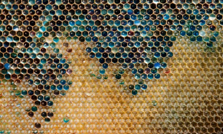 The beehive, one of nature’s most efficient designs, is the inspiration behind Hexagro, a modular planter system designed to make maximum use of limited urban spaces.