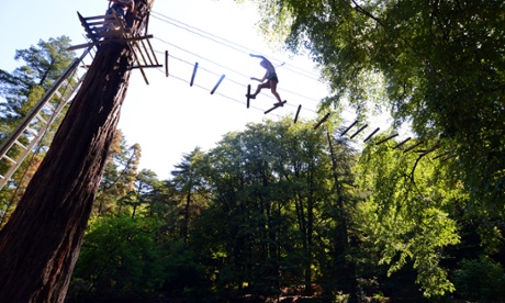 Assault course ladder