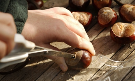 Hard as a nut ... string up your conker and show your friends what you're made of.