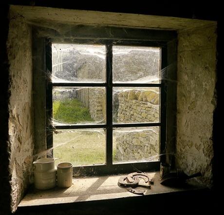 Another day, another window