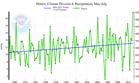 This graph shows the upward trend in precipitation around Morton, Illinois, the 