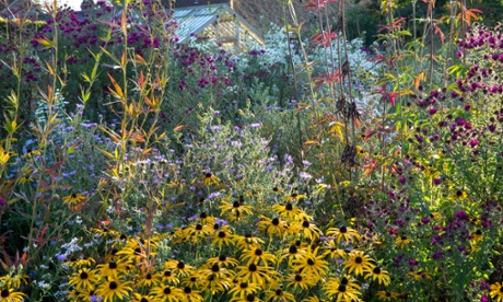 Tom Stuart-Smith's perennial meadow