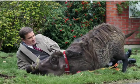Canal+ ‘Best Friend’ ad: avoids boar-ing festive clichés