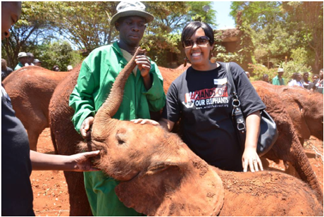 Maryanne Njoroge of the Cooperative Bank of Kenya with its newly adopted baby Elephant, 'Mbegu', at the David Sheldrick Wildlife Centre, during a Corporate Social Responsibility (CSR) day for bank staff organised by WildlifeDirect in October 2014. The bank donated 150,000 Kenyan Shillings to the campaign 