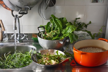 A kitchen sink tale of fresh chard, rocket and plenty of cannellini beans