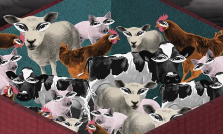 Nate Kitch illustration