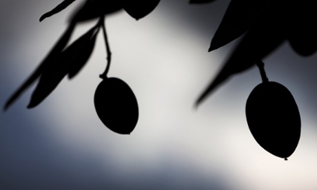 How to use your digital camera.